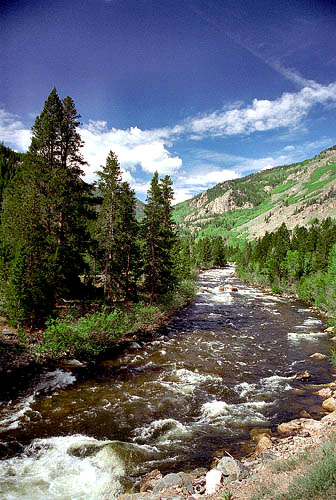 Upper Poudre Canyon near Spencer Heights