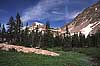 Mt Zirkel WIlderness, CO