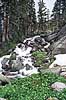 Mt Zirkel WIlderness, CO