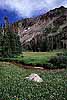 Mt Zirkel WIlderness, CO