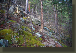 Peaks 7875 & 7623, Poudre Canyon