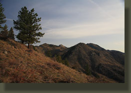 Peaks 7875 & 7623, Poudre Canyon