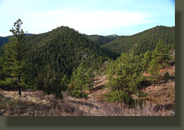 Peaks 7875 & 7623, Poudre Canyon