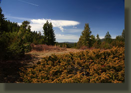 Peaks 7875 & 7623, Poudre Canyon