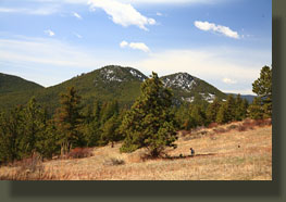 Peaks 7875 & 7623, Poudre Canyon