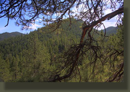 Peaks 7875 & 7623, Poudre Canyon