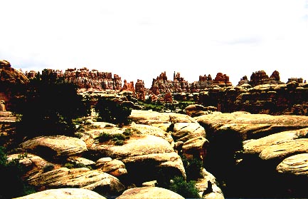 Devil's Kitchen, Canyonlands