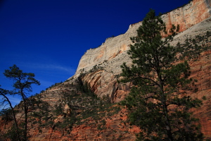 Cathedral Mountain