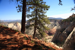 On the West Rim, looking down towards Telephone Canyon