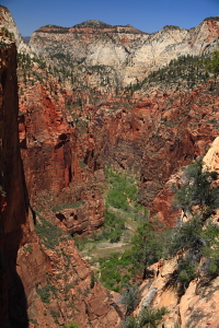 Zion Narrows and the Virgin River
