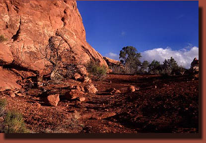 Arches National Park