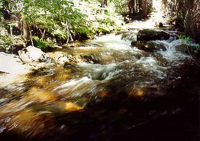 Beaver Creek, Comanche Peak Wilderness