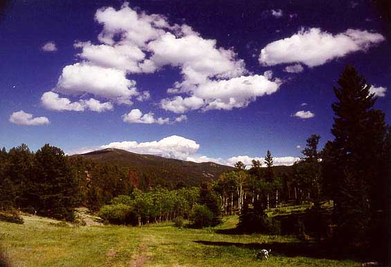 Beaver Creek, Comanche Peak Wilderness