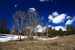 Beaver Meadows, Rocky Mt National Park