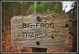 Big Frog Mt Trail 64
