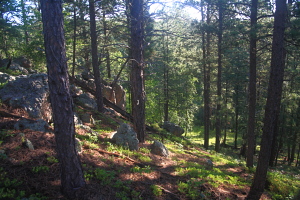 Black Elk WIlderness