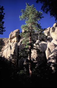 Harney Peak, South Dakota