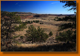 Bobcat Ridge Natural Area, DR Trail