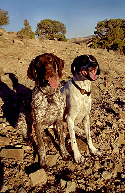 Frank and Makenzie..still on of my favorite pics of these guys ever