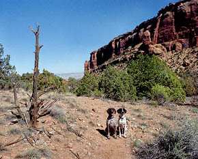 Black Ridge Wilderness, Colorado