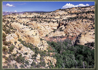 Bull Canyon, Colorado