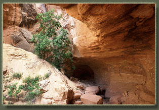 Bull Canyon, Colorado