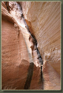 Bull Canyon, Colorado