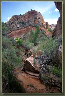 Bull Canyon, Colorado