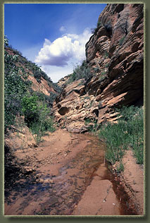 Bull Canyon, Colorado