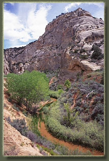 Bull Canyon, Colorado