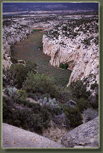 Bull Canyon, Colorado