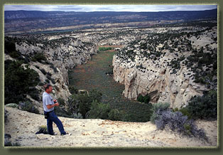 Bull Canyon, Colorado