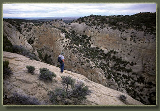 Bull Canyon, Colorado