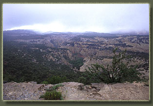 Bull Canyon, Colorado