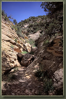 Bull Canyon, Colorado