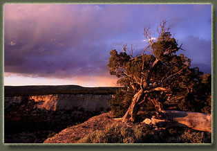 Bull Canyon, Colorado