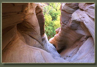 Bull Canyon, Colorado