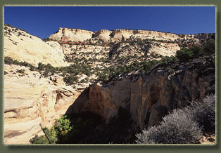 Bull Canyon, Colorado