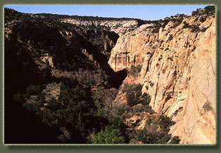 Bull Canyon, Colorado