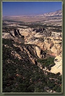 Bull Canyon, Colorado