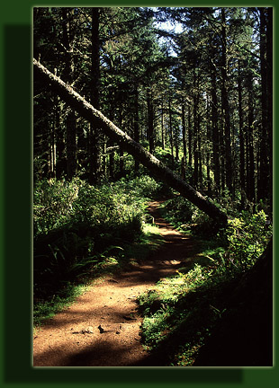 Cape Lookout, Oregon