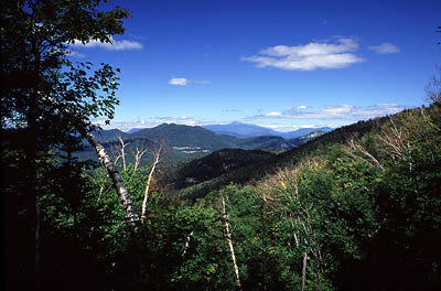 Along the trail to Mt Chocorua