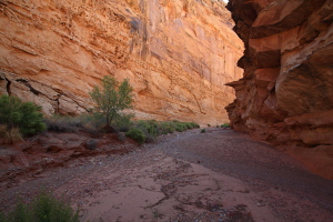 Chute Canyon, Utah