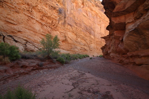 Chute Canyon, Utah