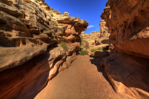 Chute Canyon, Utah