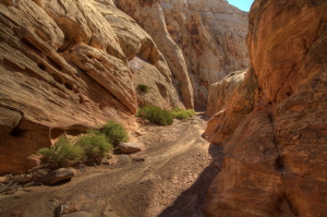 Chute Canyon, Utah