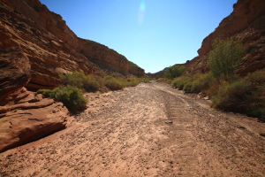 Chute Canyon, Utah