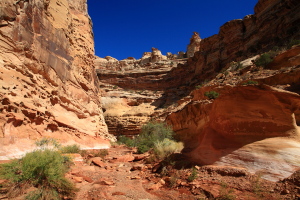 Crack Canyon, Utah