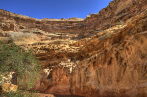 Crack Canyon, Utah