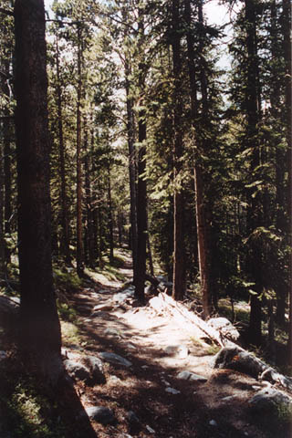 Camp Lakes Trail, Colorado